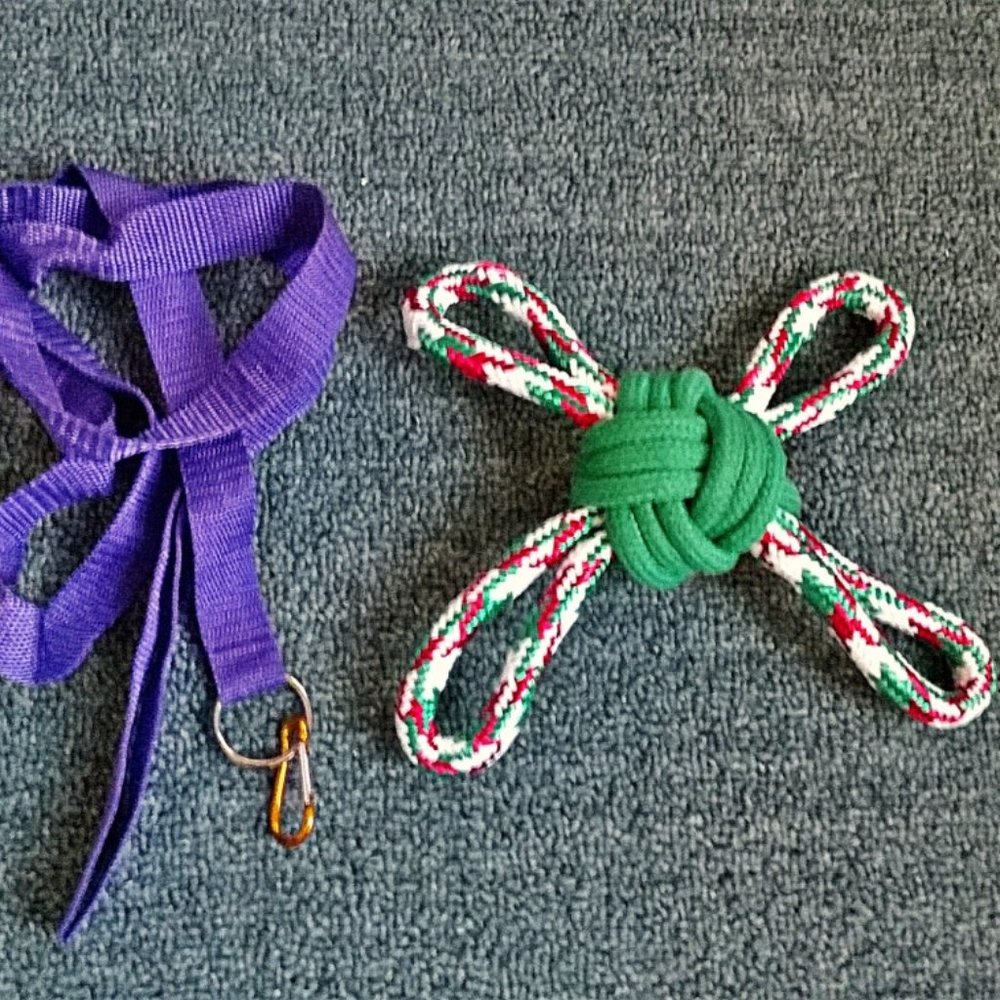 NWOT - Dog Rope Toy and Leash